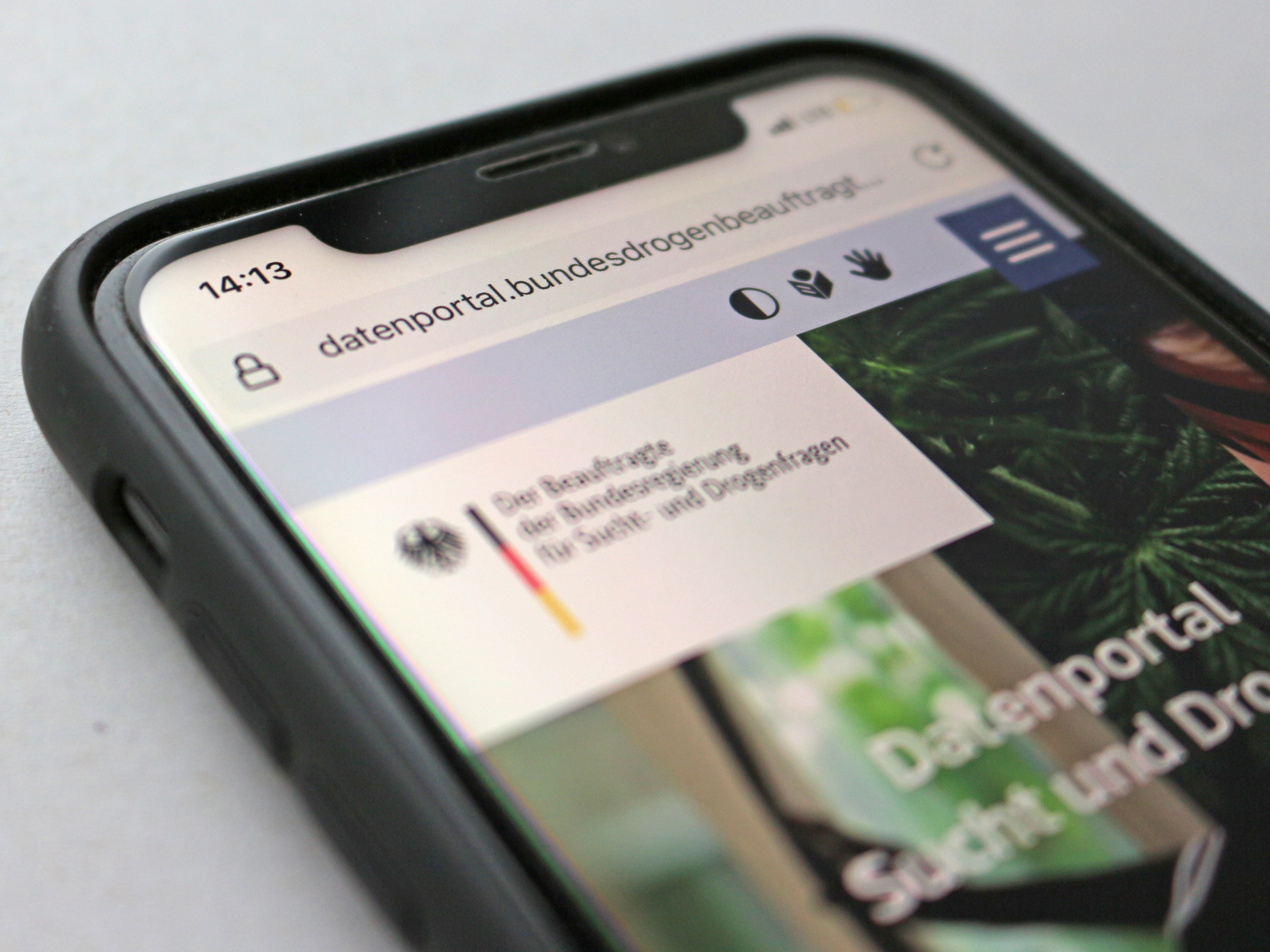 Smartphone mit geöffneter Website des Datenportals