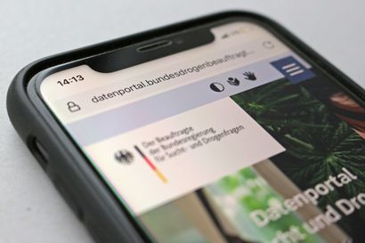 Smartphone mit geöffneter Website des Datenportals