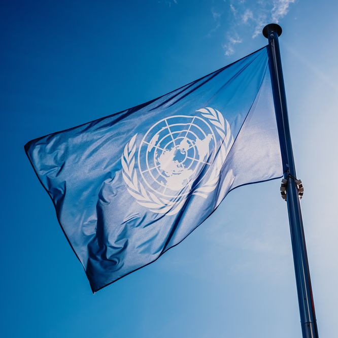Flagge der Vereinten Nationen