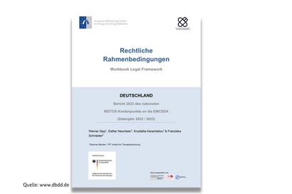 Screenshot des REITOX-Berichts 2023