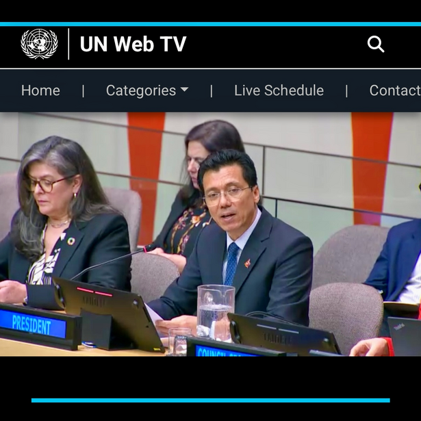 Screenshot einer Abstimmung des ECOSOC